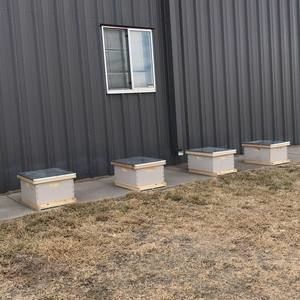 Meet your Posher, Flatland